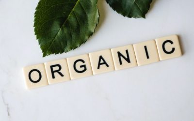 3 Steps to an Organic and Sustainable Lifestyle at Home