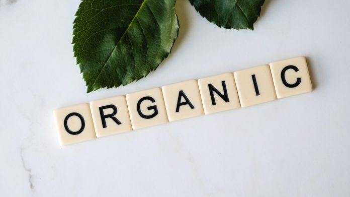 3 Steps to an Organic and Sustainable Lifestyle at Home